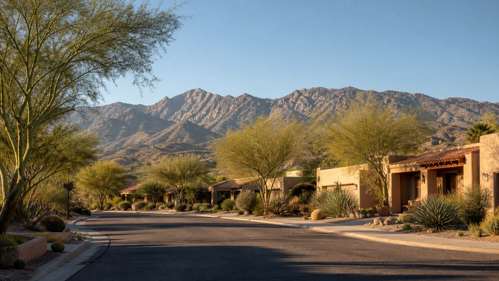 Desert neighborhood below the Catalina foothills
